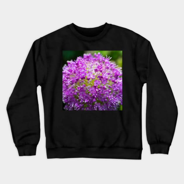 Giant Onion Crewneck Sweatshirt by ansaharju